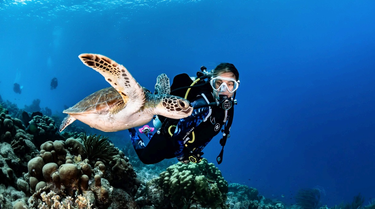 Scuba Diving Trip – Explore the Red Sea with Two Dives