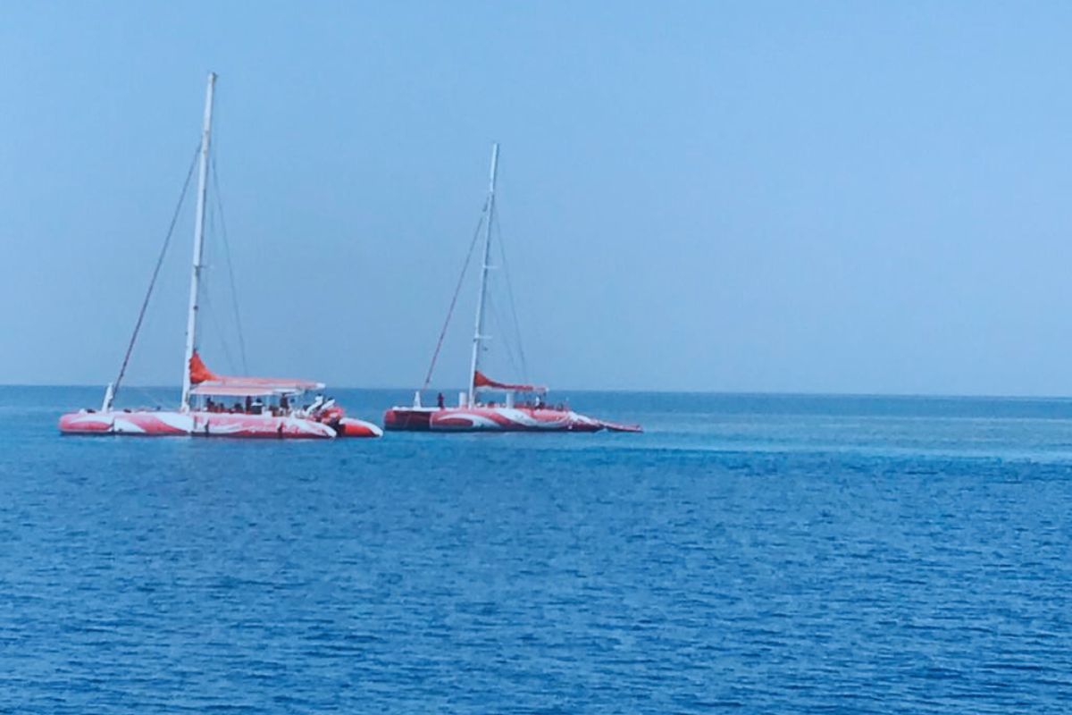 Catamaran Morning Cruise – Snorkeling & Sailing from El Gouna